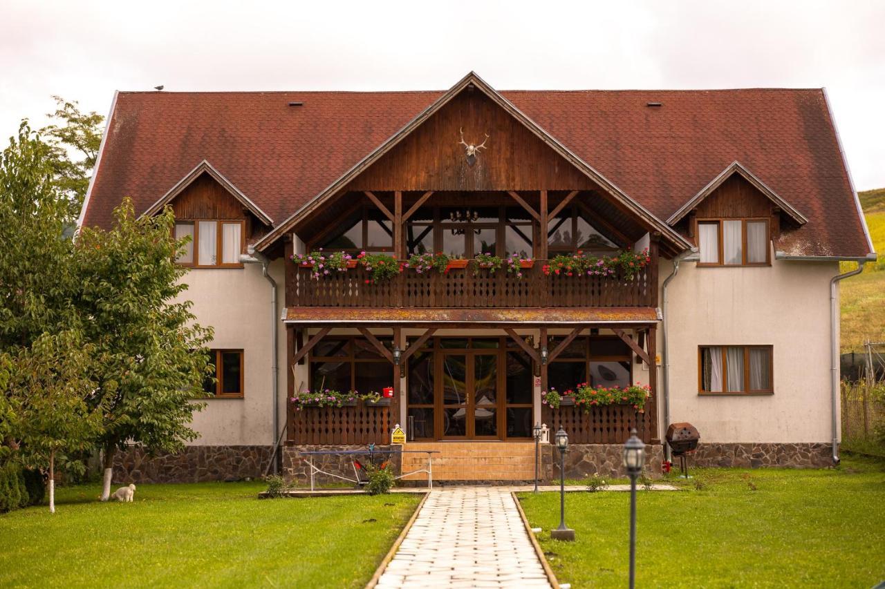 Pensiunea Sachsenhof Bagaciu Exterior photo
