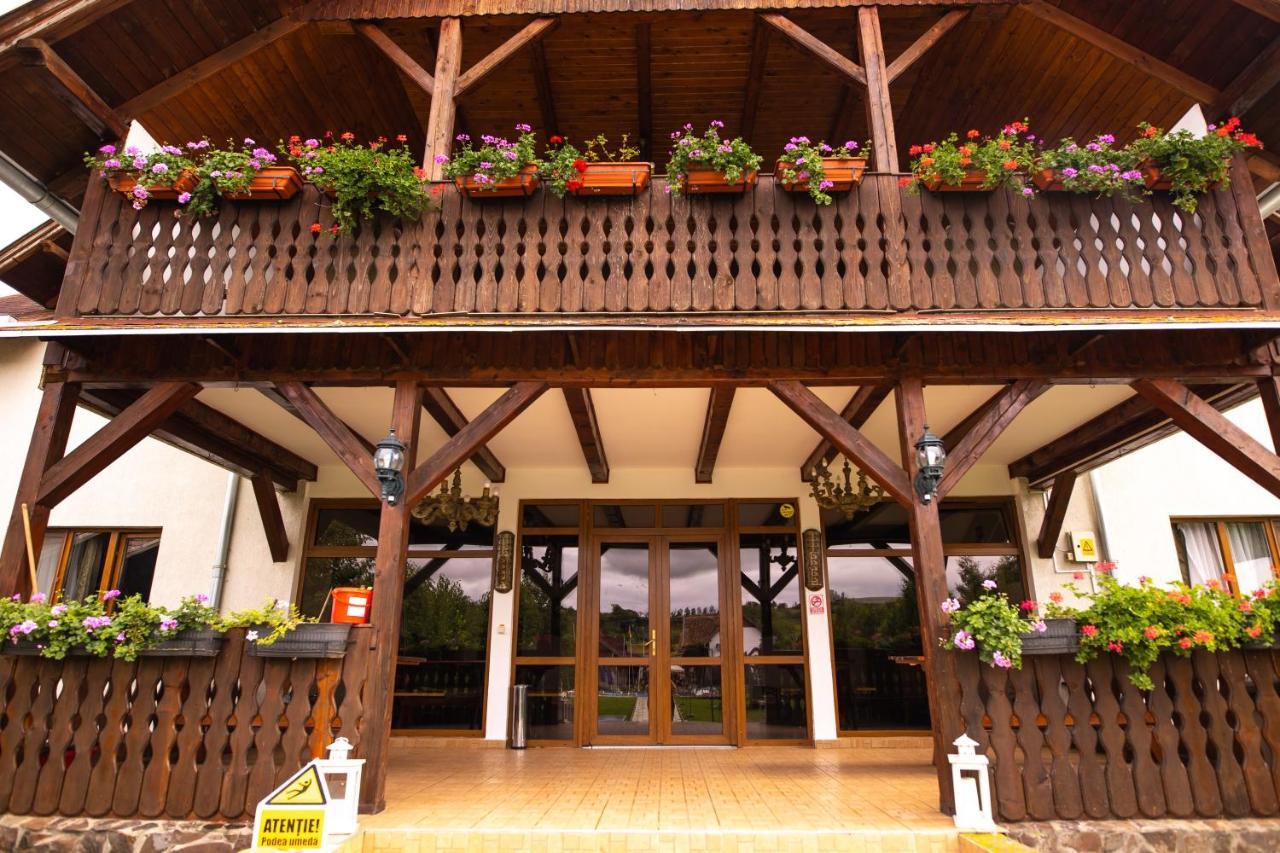 Pensiunea Sachsenhof Bagaciu Exterior photo